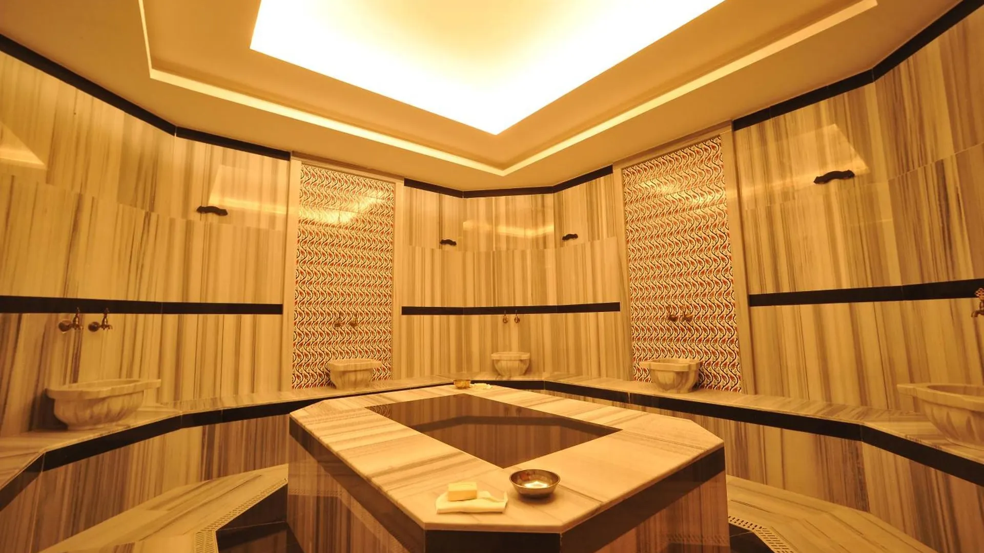 The Alpfine Hotel Ankara 0*,  Türkiye