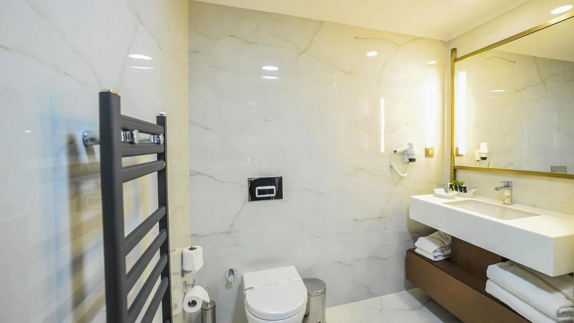 The Alpfine Hotel Ankara
