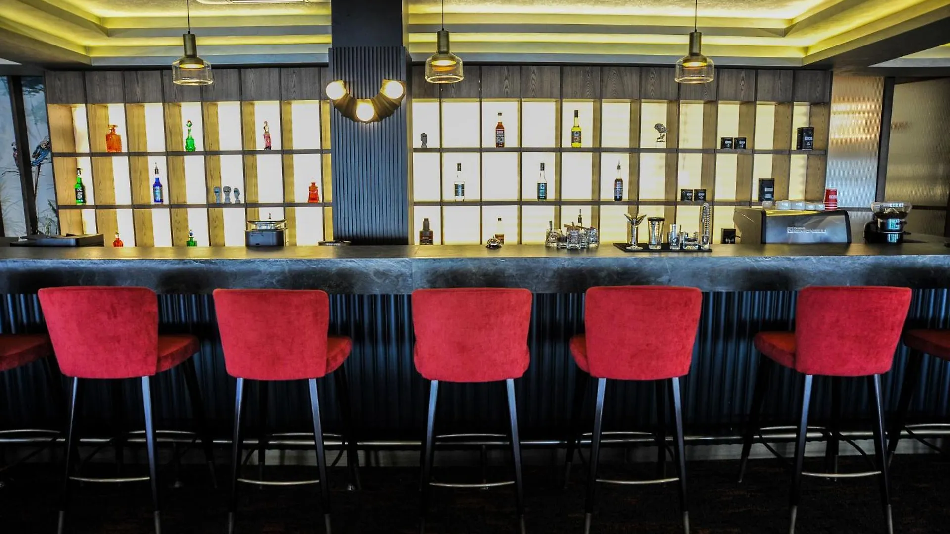 The Alpfine Hotel Ankara