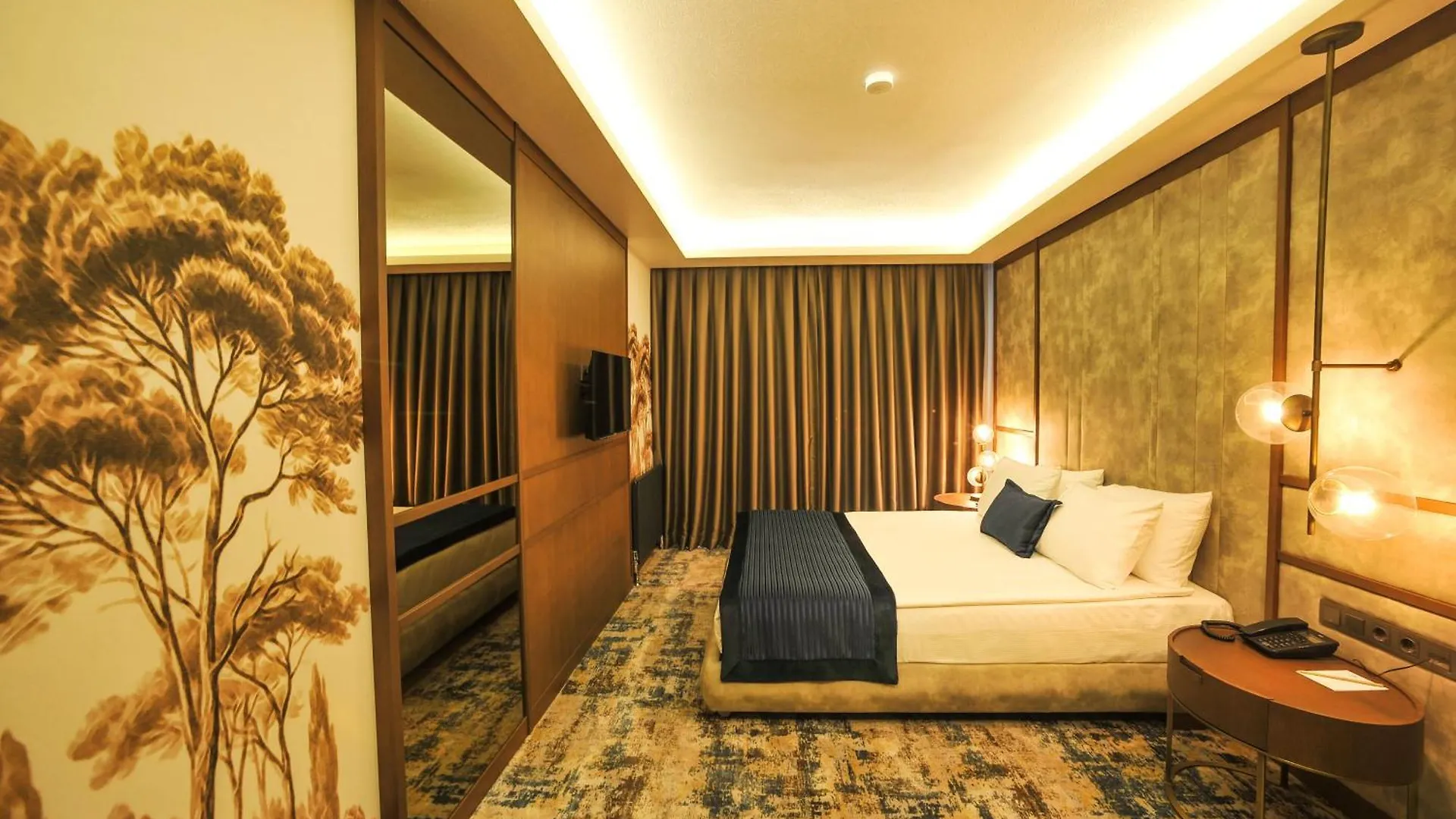 The Alpfine Hotel Ankara