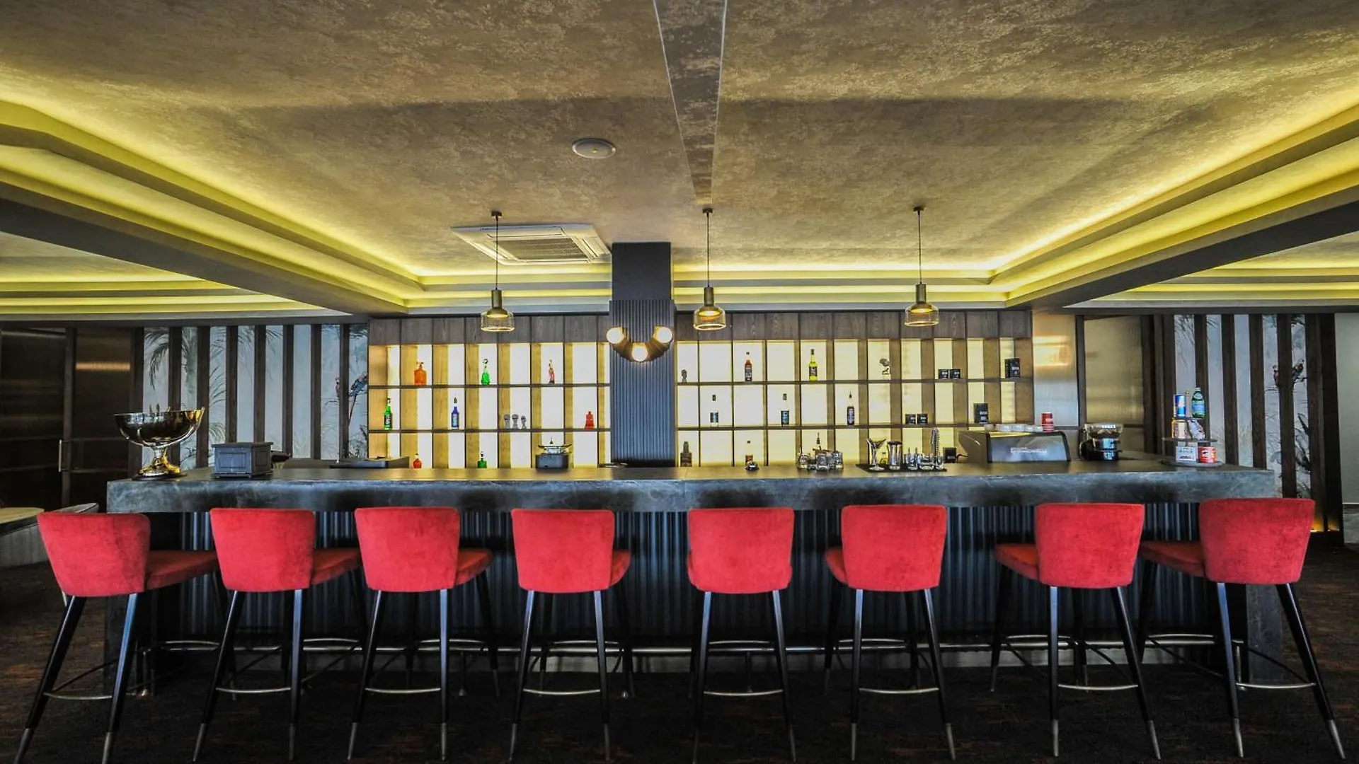 The Alpfine Hotel Ankara 0*,  Turkey