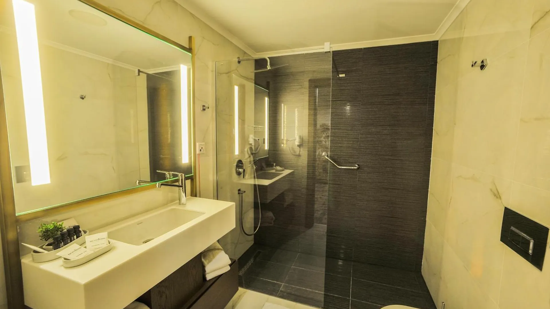 The Alpfine Hotel Ankara Turecko