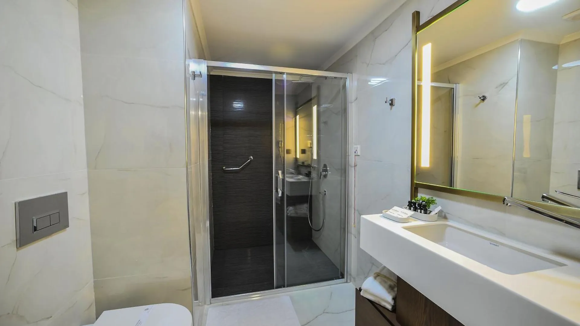 The Alpfine Hotel Ankara